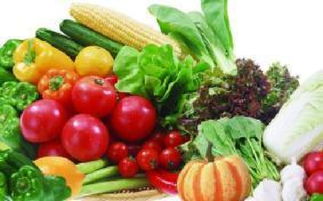 山西科普惠農(nóng)特色優(yōu)質(zhì)農(nóng)產(chǎn)品展銷會(huì)盛大開幕，花卉產(chǎn)業(yè)綻放異彩